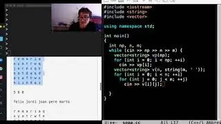 Programació 1, Matrius, sopa de lletres.