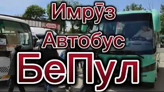 Исфара 2022 - Автобусҳо Бе Пул ба муносибати моҳи шарифи Рамазон