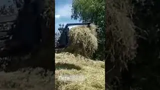 #лтз