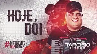 HOJE DÓI - Tarcísio do Acordeon - CD Diferente dos Iguais 2021