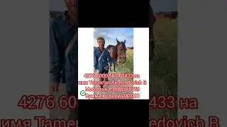 Милостыня стирает грехи так же, как вода гасит огонь» (ат-Тирмизи).
