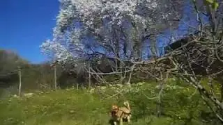 DSCN0497