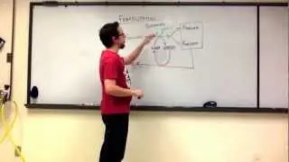 Lecture Review - Fermentation (Biol 1406 Ch 9)