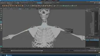 Doll Mesh Body   Part 01