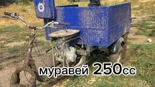 МОТОРОЛЛЕР МУРАВЕЙ по ГРЯЗИ