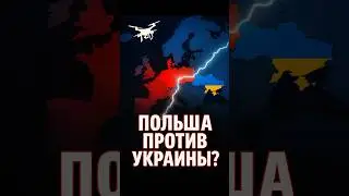 Польша обвинила Украину!