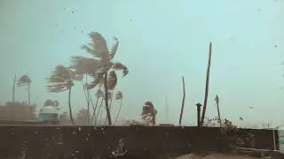 #beautiful