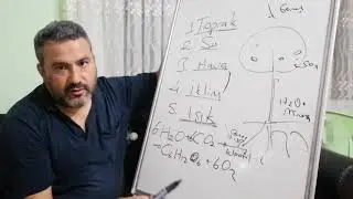 Bitki Beslemeye Kısa Bir Giriş