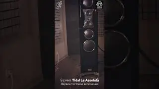 Tidal La Assoluta - первое включение. Как звучит самый дорогой в мире звук!