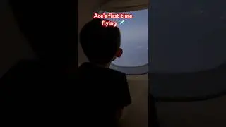 Ace’s first time flying ✈️ #shorts #mario #deltaairlines #flying