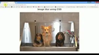 Image blur using HTML/CSS How to make Image blur on hover Ujjaval Design