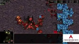 StarCraft 1: DARK ARCHON!! - Hawk vs Dewalt | Ascension