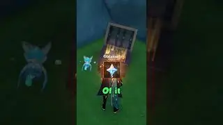 AR60 FINDING OLD CHESTS