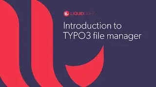 Introduction to the TYPO3 file manager