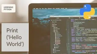 Print(‘Hello World’) Overview | Python
