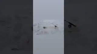 Самоподсекающая удочка для форели своими руками. 