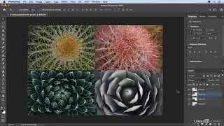 1505 Applying filters to multiple layers