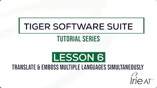 Tiger Software Suite v8: Tutorial Series, Lesson 6 - Translate Multiple Languages Simultaneously.