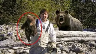 When Bears Go On A Rampage!