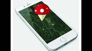 Vídeo un mapa de bolets