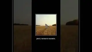 #демотиватор
