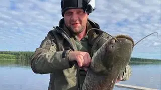 Рыбалка на сома! Укрупнился по трофею!