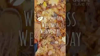 Wellness Wednesday · Walk Yourself Happy