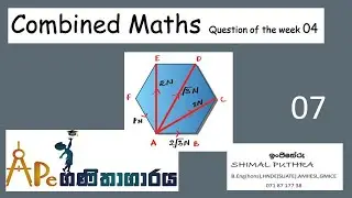 Combined Maths Sathiye Gataluwa 04 (Force Equilibrium - ඒකතල බල පද්ධති)