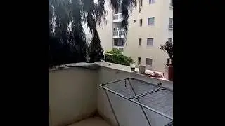 Как прикормить Ворону