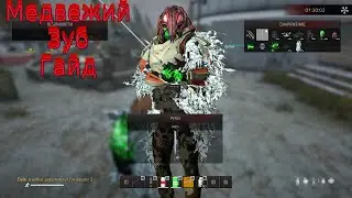 Гайд. Медвежий зуб в Dayz. FROSTY WORLD PVE CHERNARUS 2