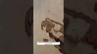 Вторая часть второго дня 