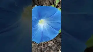 Добрые пожелания для тебя! Мира, добра и любви!