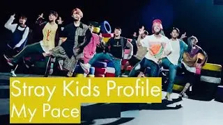 Stray Kids Profile | 