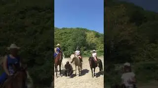Водопады(4)