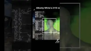 ALBUMY WHITE'A 2115 VS AI 🖼