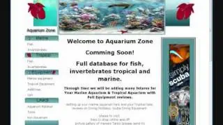 aquariumzone.co.uk