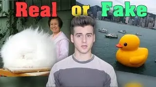 Photos That Look Fake But Are Actually Real!