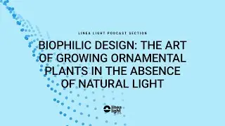 Biophilic design: the art of growing ornamental plants in the absence of natural light | M. Alagna