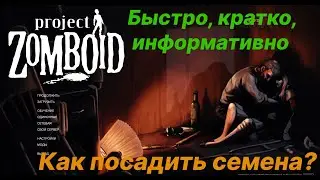 Project zomboid. Как вырастить картошку и другие культуры. Как посеять семена в project zomboid.