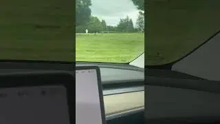 I DROVE A TESLA THROUGH A CEMETERY AND THIS HAPPENED