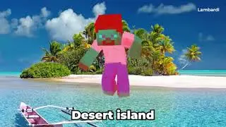 14 Minecraft Steve 