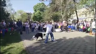 фестиваль НКО в Новороссийске 20.04.2024