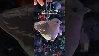 У меня есть маленькая традиция
