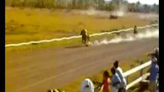 Horse racing in Nevis 19 - Gottogetta Rhythm wins easy