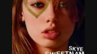 Skye Sweetnam-I Don't Really Like You W/ Lyrics