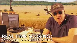 How to Write Music For Documentaries: Wildlife