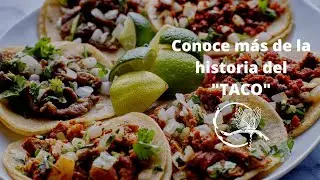 Conoce la historia y características del  