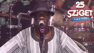 Mokoomba LIVE @ Sziget 2017 [Full Concert]