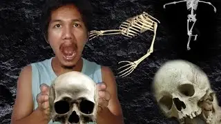 Real Skeleton💀|| kongkal Head|| THOM||