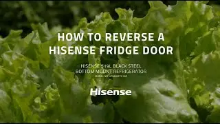 How to Reverse a Hisense Fridge Door | Hisense Australia